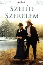 Szelíd szerelem