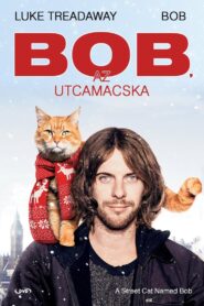 Bob, az utcamacska